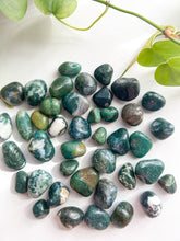 Load image into Gallery viewer, Moss Agate Pocket Stones
